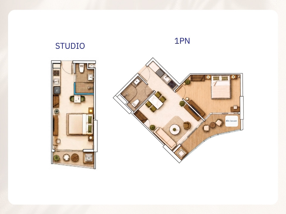 Layout Studio và 1PN Alora